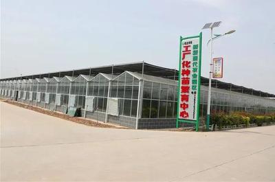 「亮點」陜西大荔:&ldquo;四大行動&rdquo;推進基層黨建提質增效