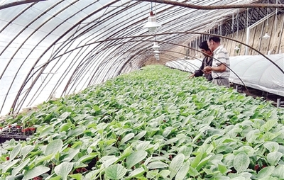 紀念長征勝利80周年特別報道:昔日長征路 今朝換新顏