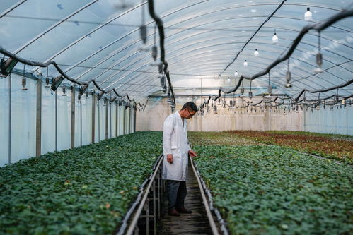 四季中國丨春日里 他們?yōu)樵颇匣ɑ苜x予'芯'動(dòng)能 陜西種苗