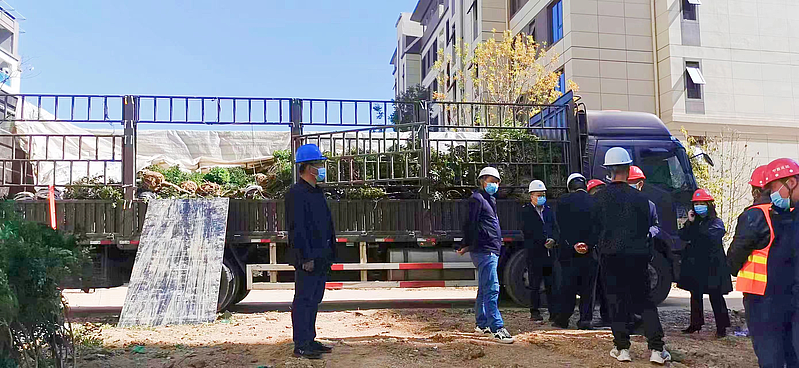 延安市森林病蟲害防治檢疫站 守護陜西種苗健康的綠色衛(wèi)士