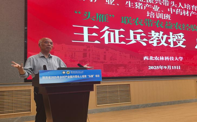 陜西“頭雁”聚西農(nóng) 共繪產(chǎn)業(yè)振興聯(lián)農(nóng)圖景